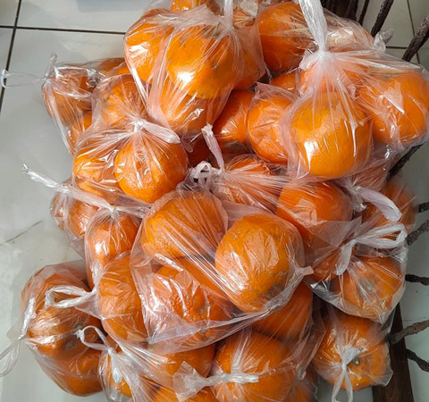 fresh mangoes for ktis
