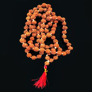 108 rudraksha bead mala with yellow and red thread.